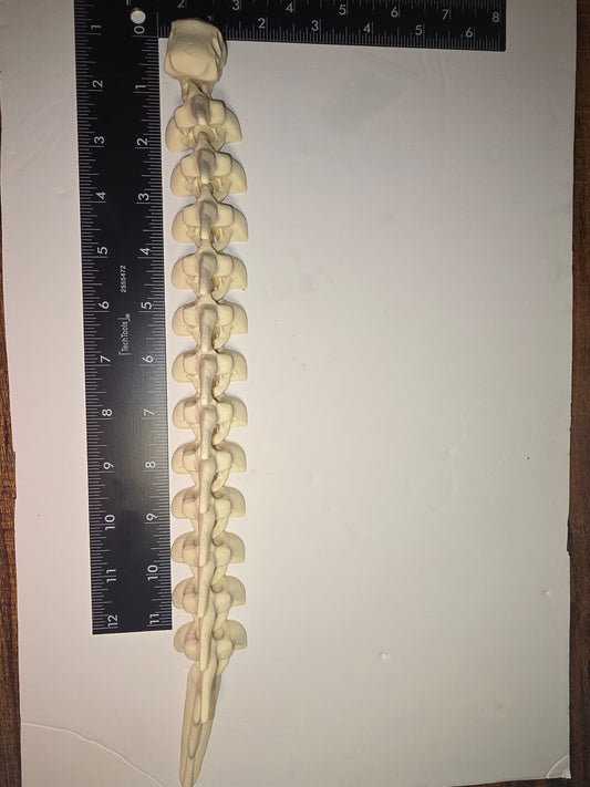 3d Bone dragon