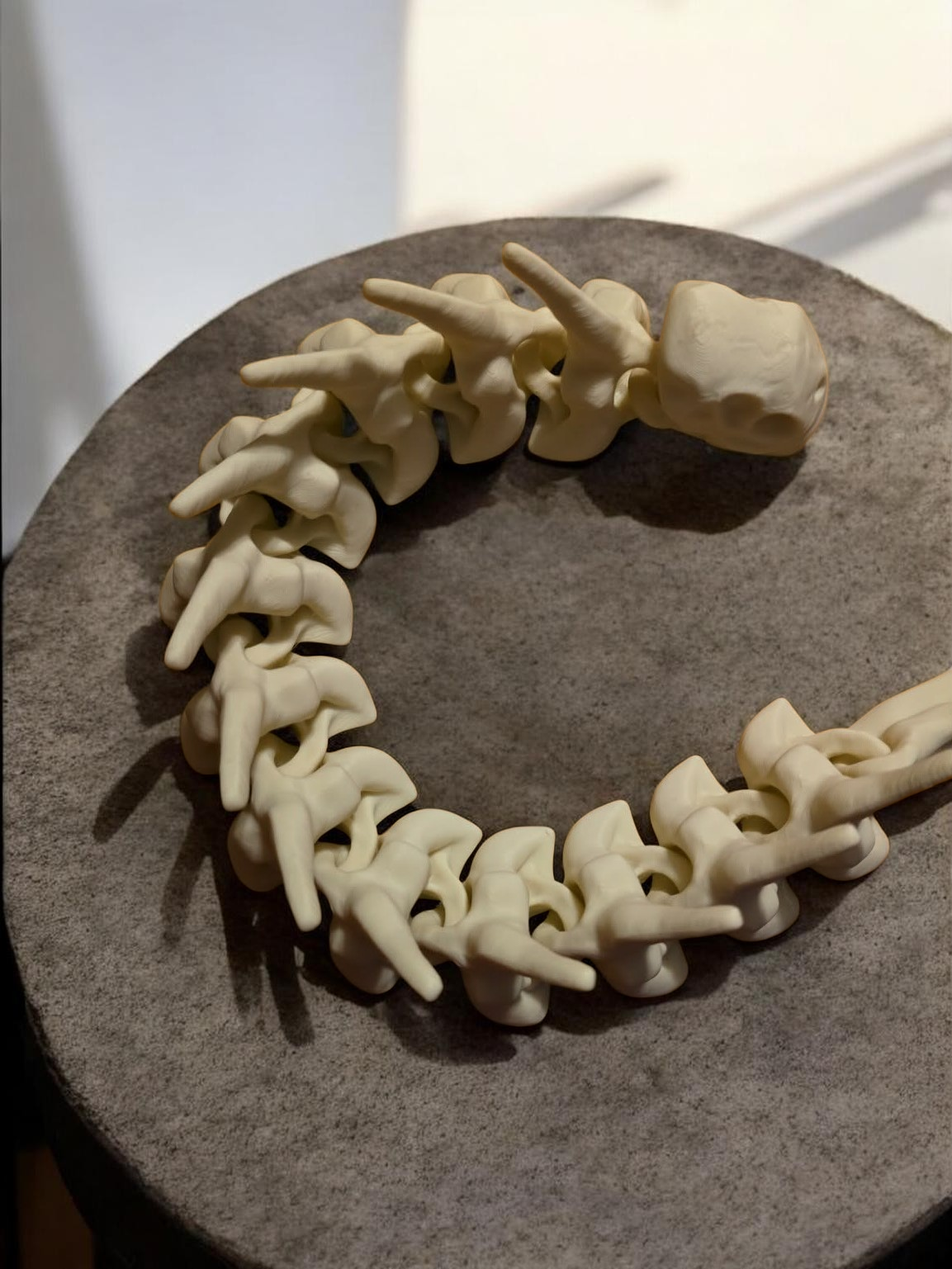 3d Bone dragon