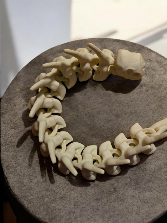 3d Bone dragon