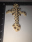 Small cookie dragon