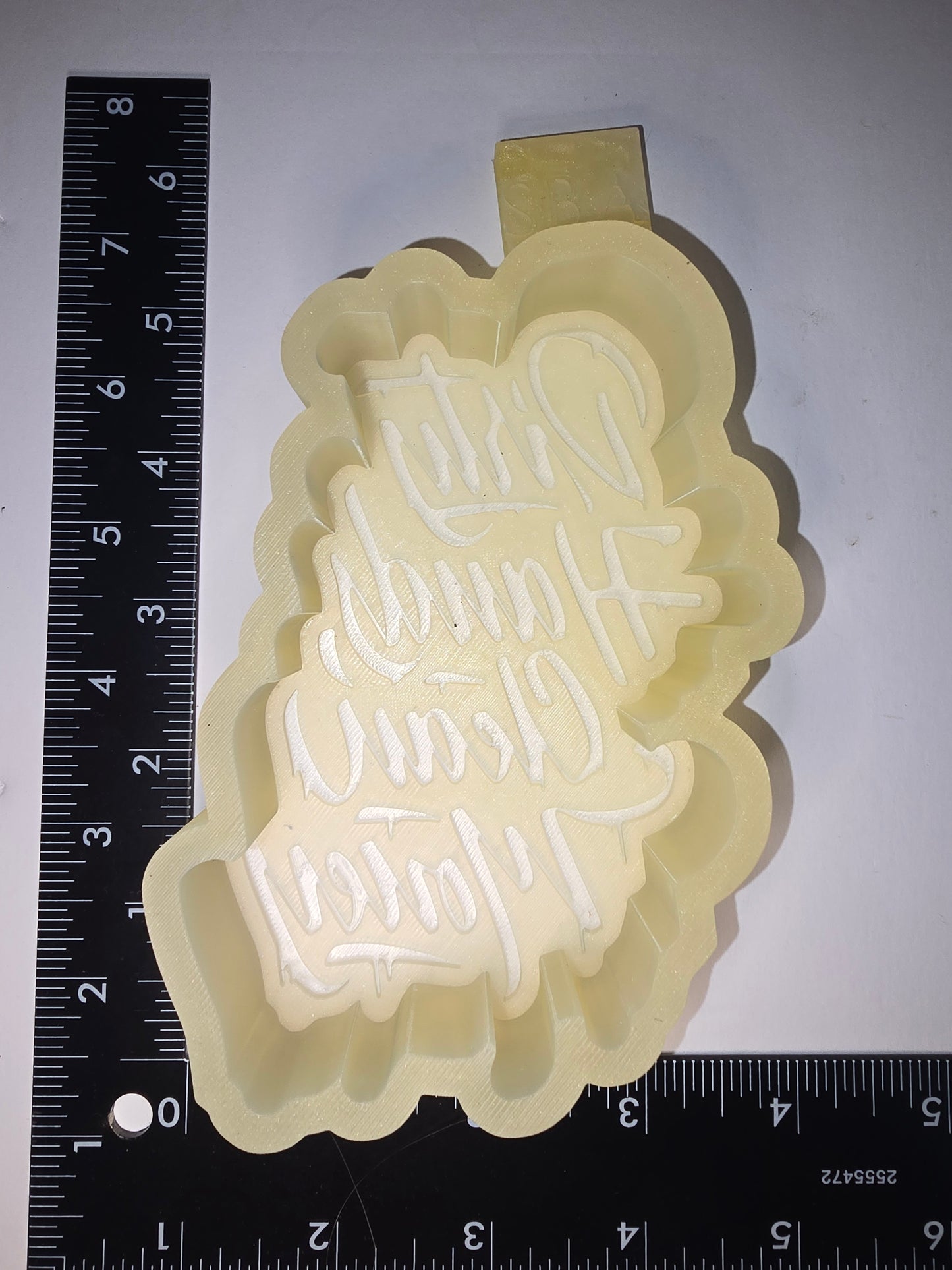 Dirty hands clean money silicone mold